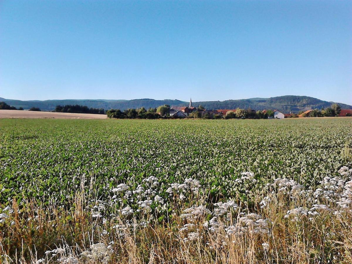 Apartment 2 Langelsheim Harz Esterno foto
